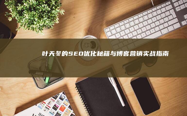 叶天冬的SEO优化秘籍与博客营销实战指南